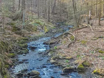 Property at 00 Nunda-Dansville Road, Ossian, NY 14437
