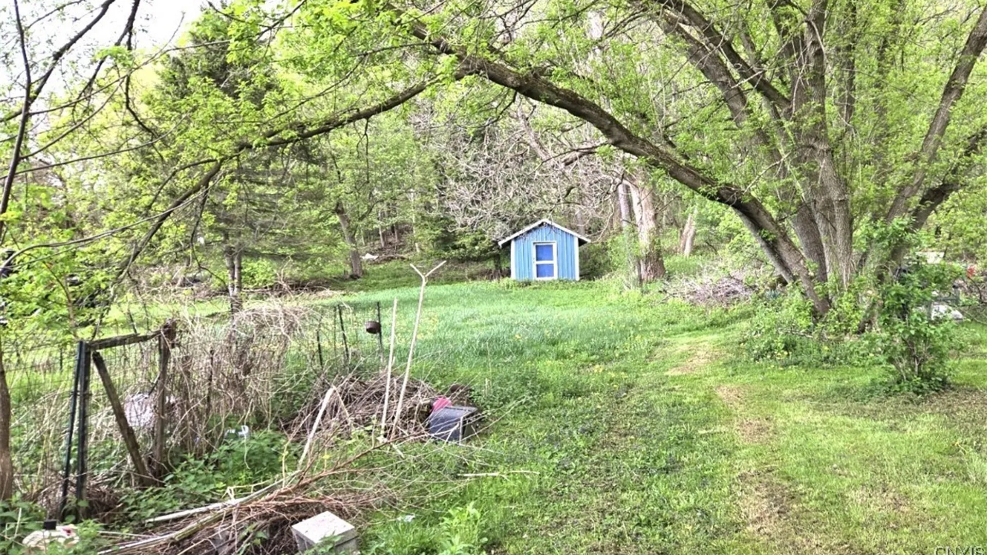 Property at 107 Mill Street, Elbridge, NY 13060 13