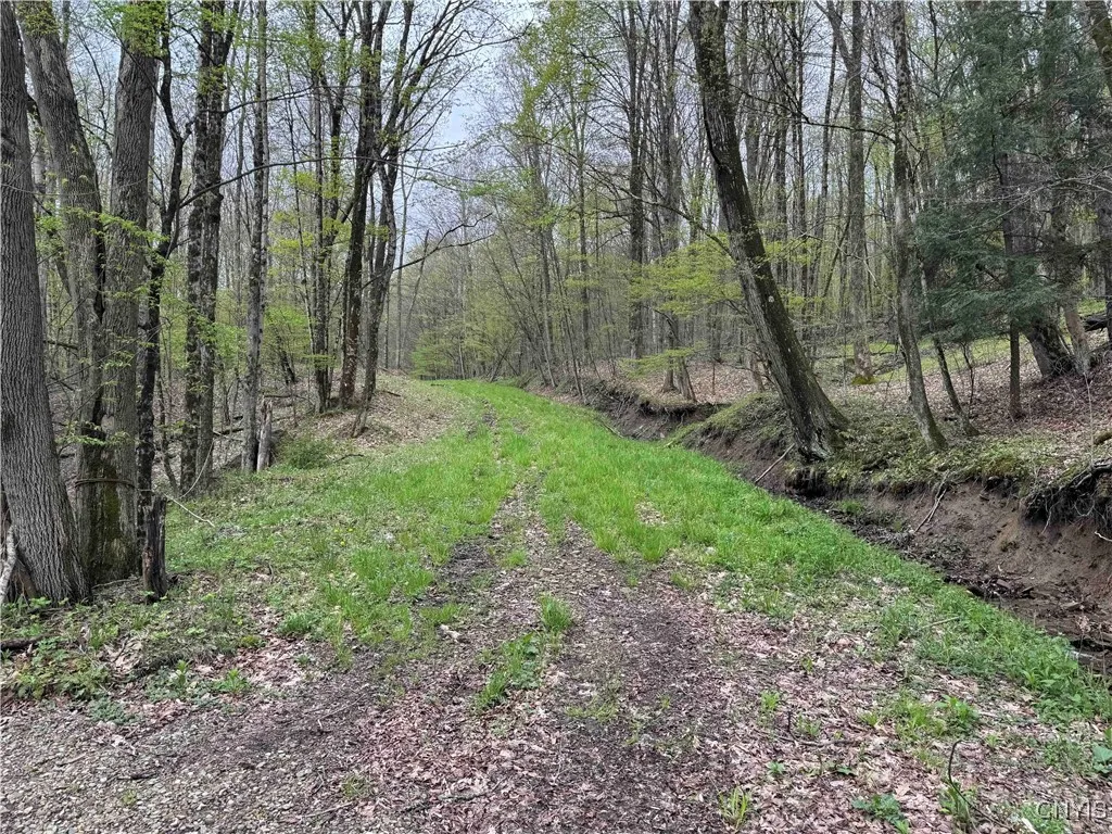 Property at Kansas Hollow Road, Bolivar, NY 14715