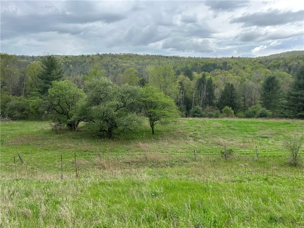 Property at 6424 State Route 417, Woodhull, NY 14801