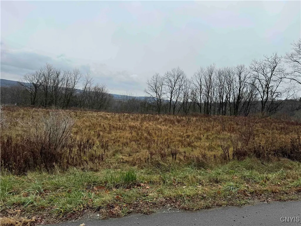 Property at Town Line Road, Gerry, NY 14701