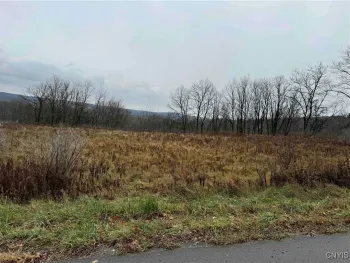 Property at Town Line Road, Gerry, NY 14701
