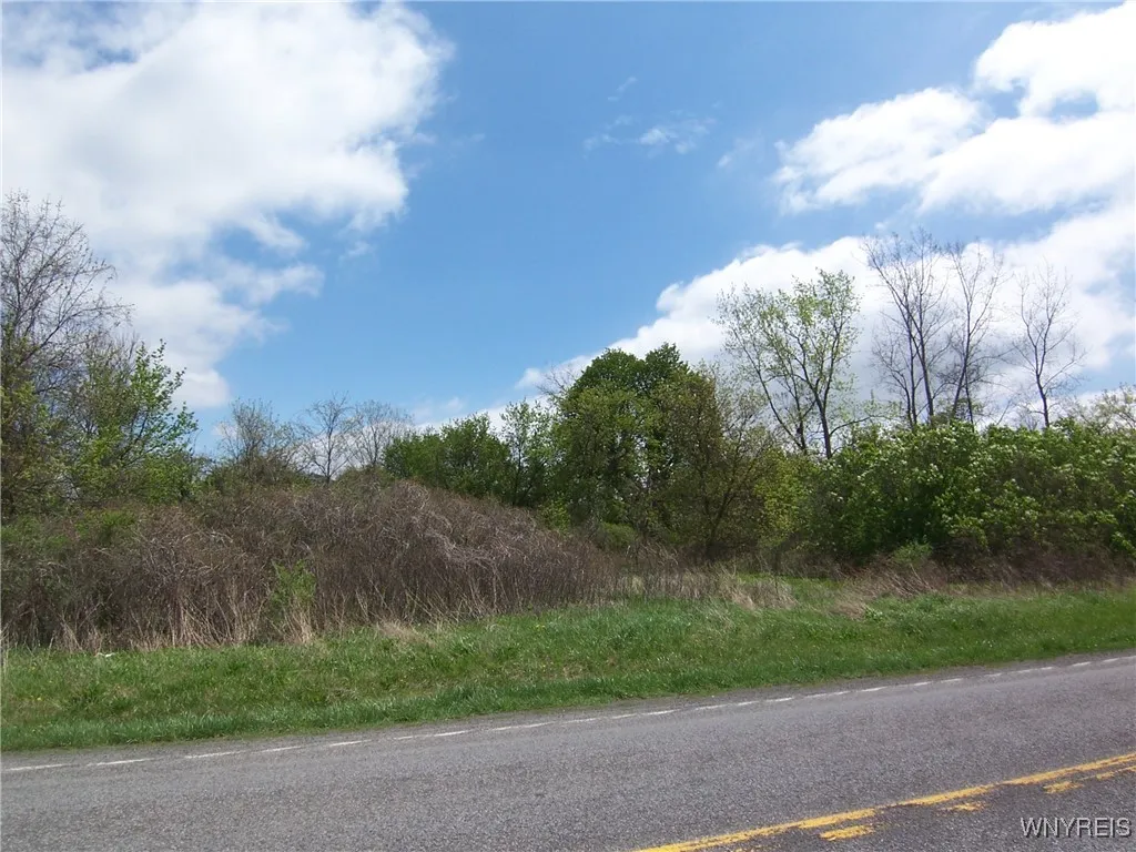 Property at 0 Pearl & Wortendyke Road, Batavia, NY 14020
