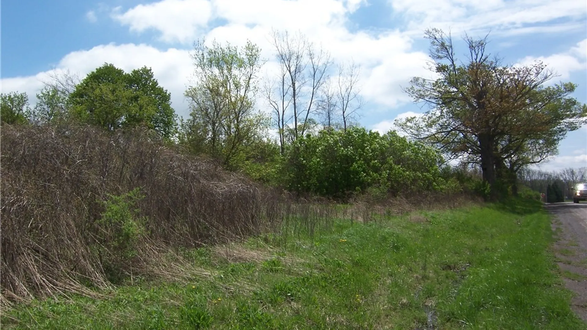 Property at 0 Pearl & Wortendyke Road, Batavia, NY 14020 4
