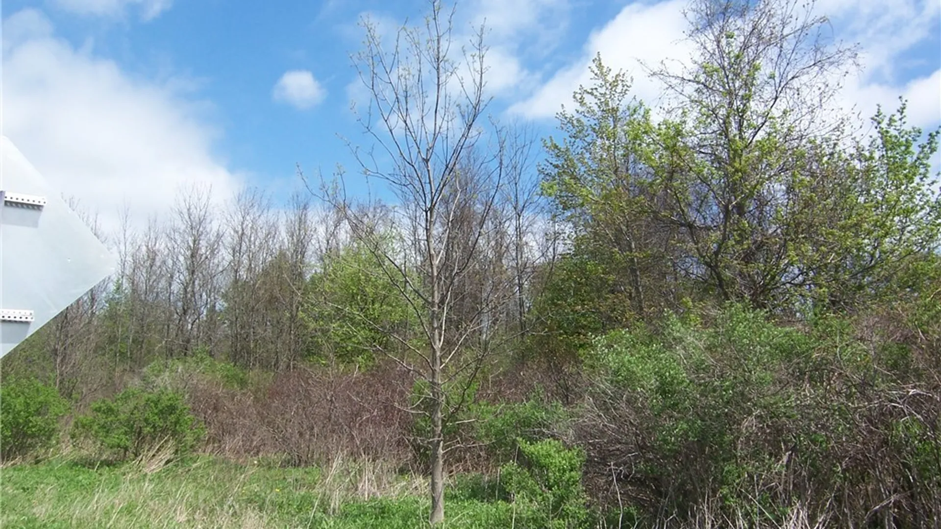 Property at 0 Pearl & Wortendyke Road, Batavia, NY 14020 6