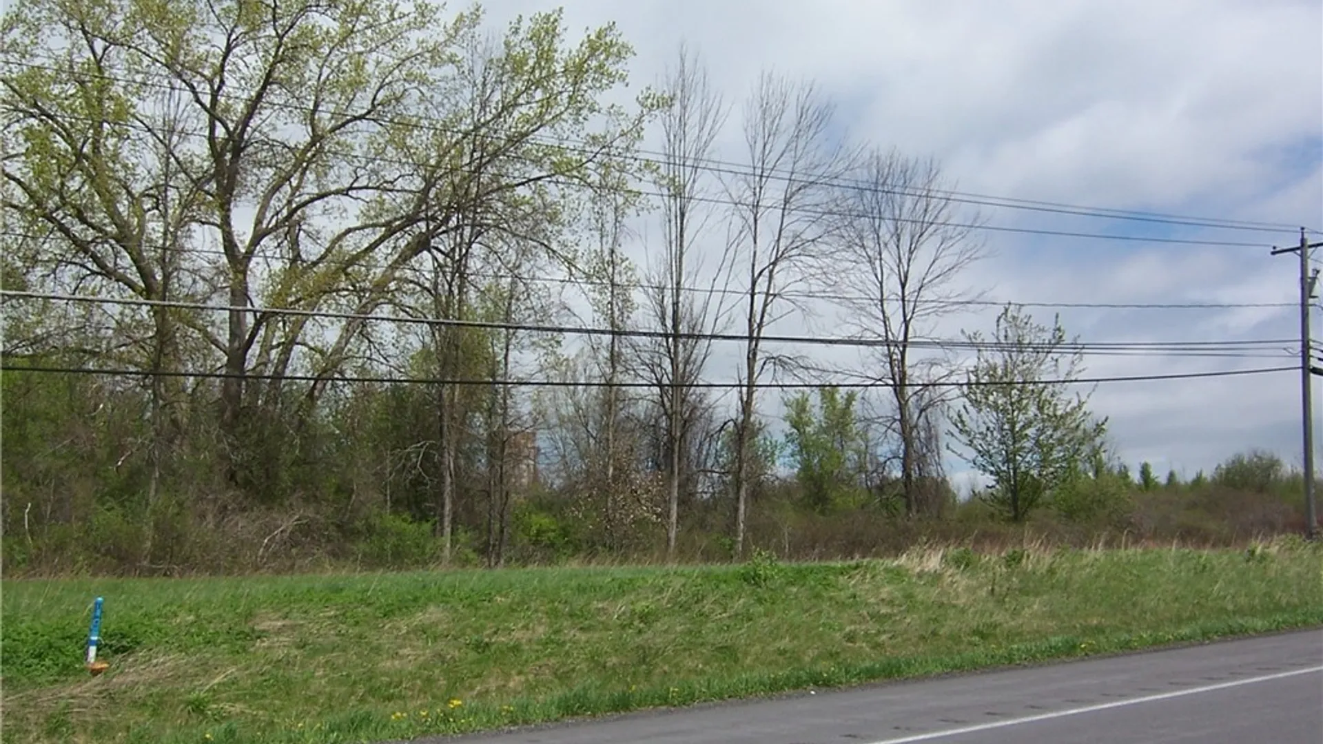 Property at 0 Pearl & Wortendyke Road, Batavia, NY 14020 7