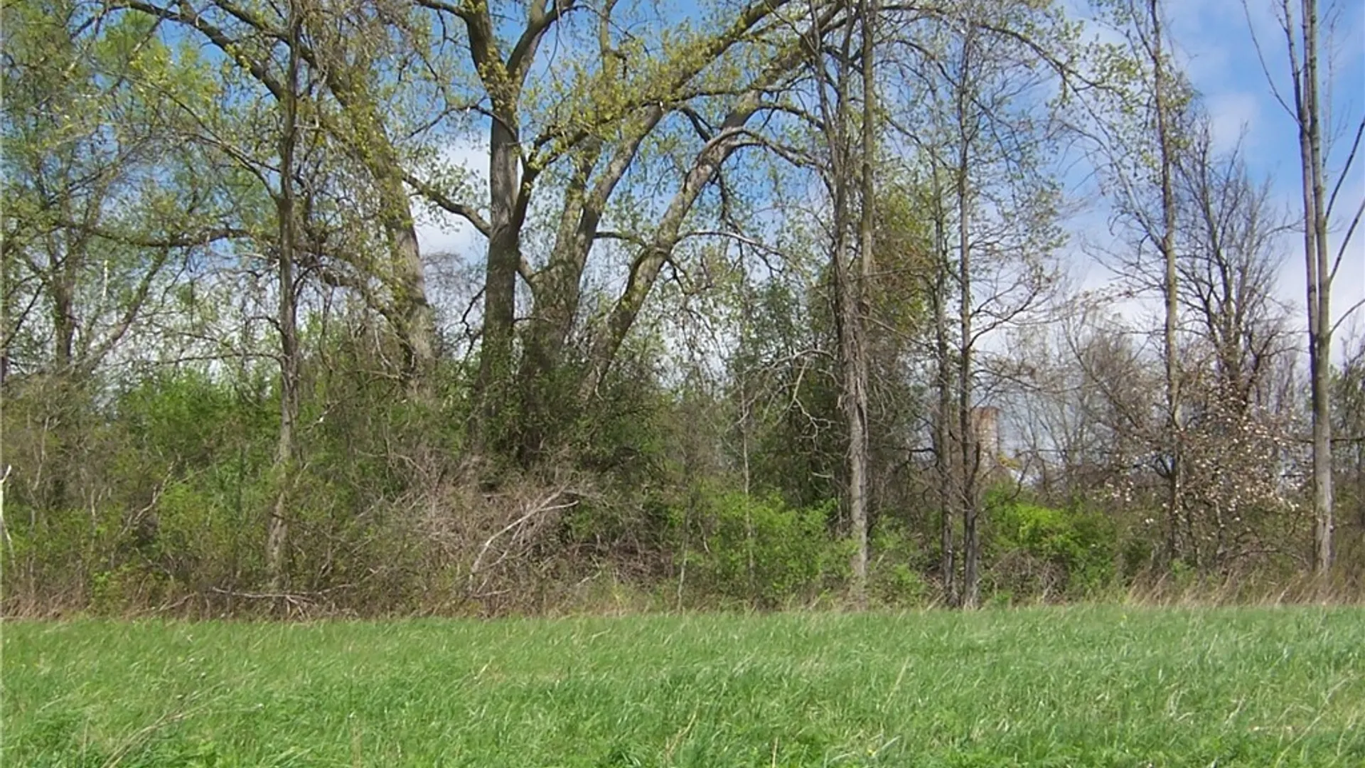 Property at 0 Pearl & Wortendyke Road, Batavia, NY 14020 10