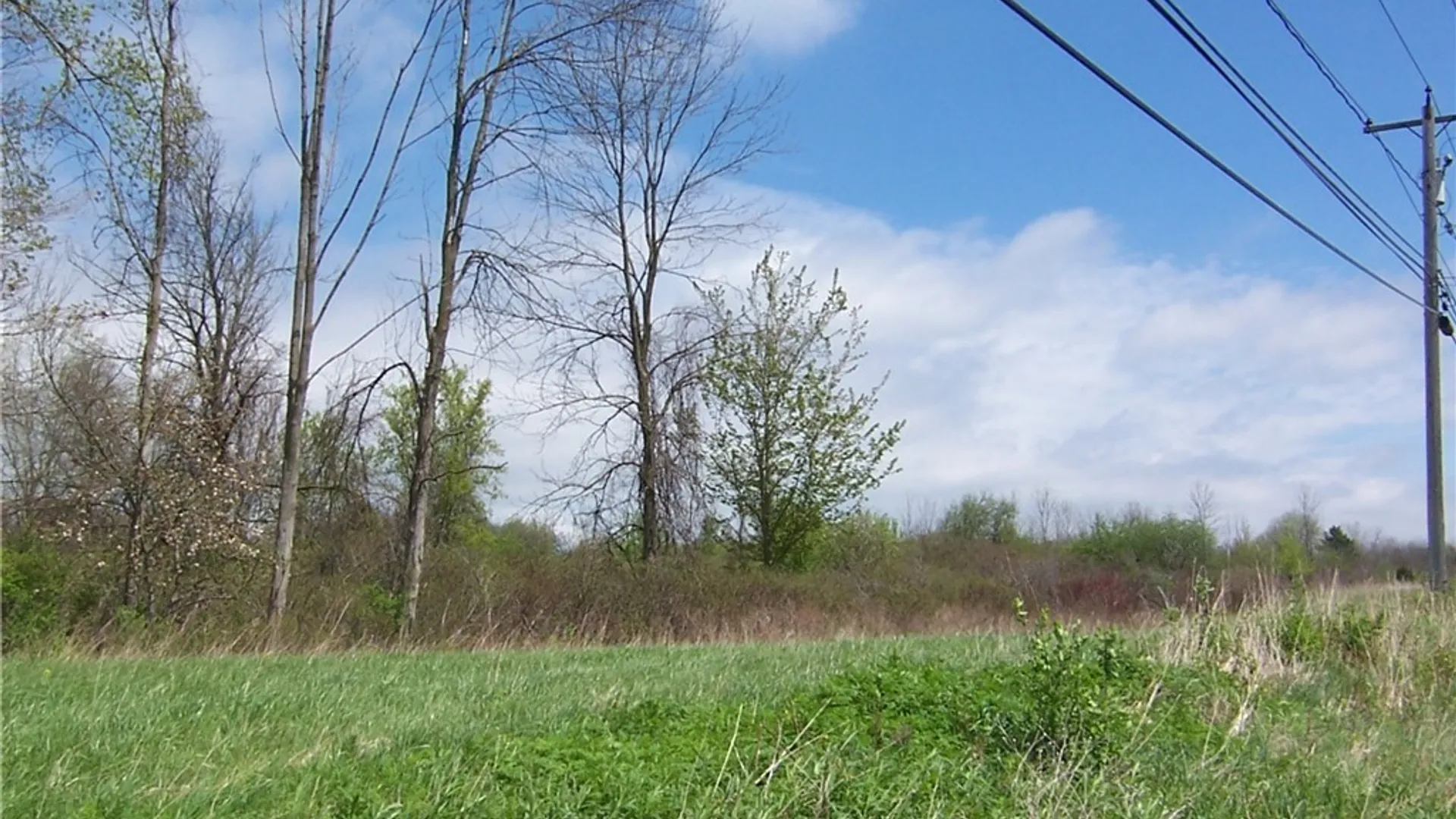 Property at 0 Pearl & Wortendyke Road, Batavia, NY 14020 11