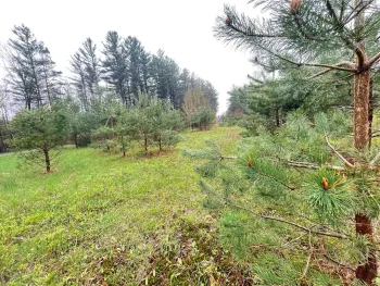 Property at Cr-26, Watson, NY 13367