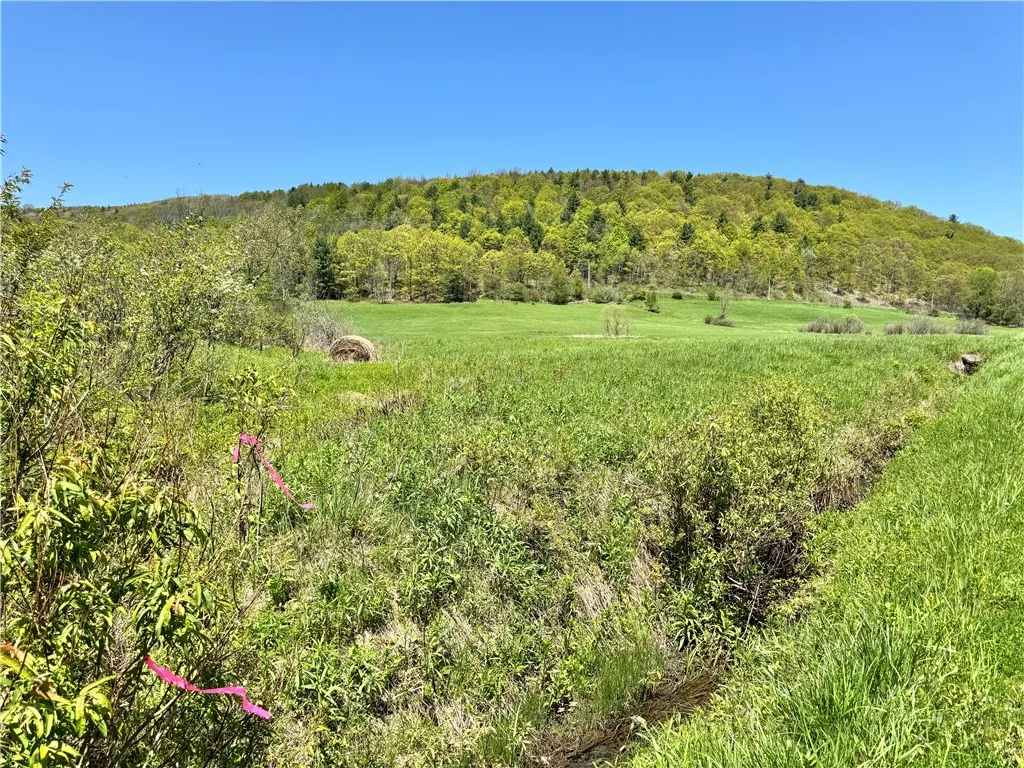 Property at 463 Cemetery Road, Seward, NY 12043