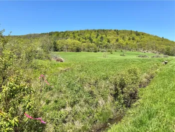 Property at 463 Cemetery Road, Seward, NY 12043