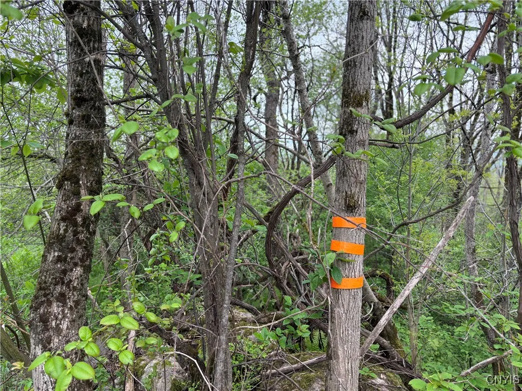 Property at Sulphur Springs Rd Road, Norway, NY 13416