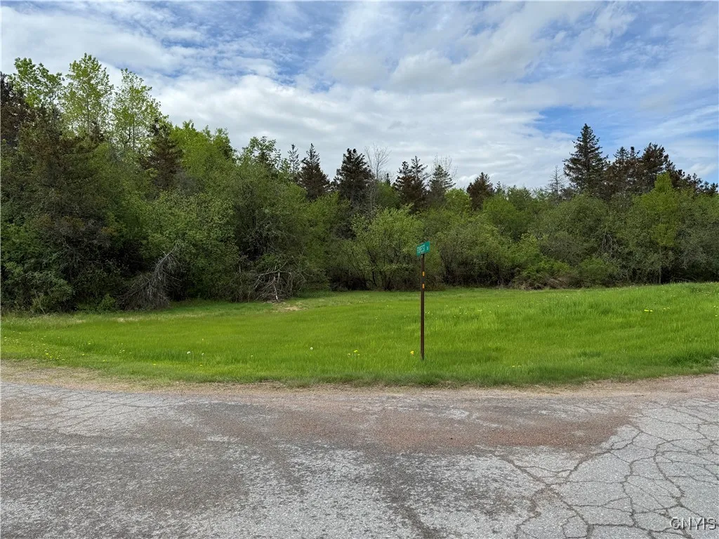 Property at 0 Spruce Crescent, Pamelia, NY 13601