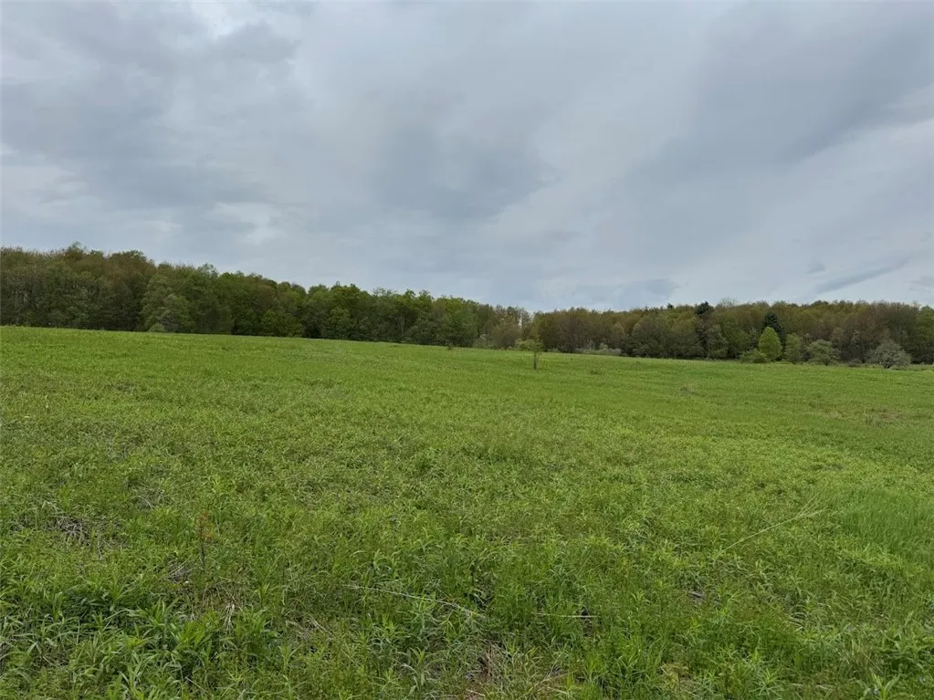 Property at Stoodley Hollow Road, Hamden, NY 13782