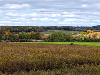 Property at 7239 Reeds Corners Road, Sparta, NY 14435