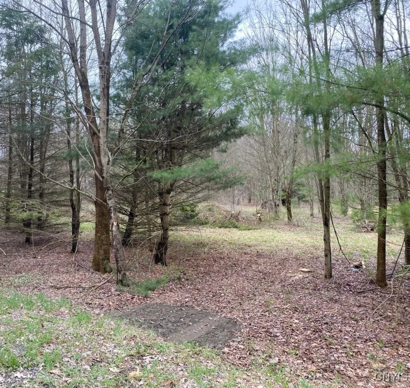 Property at Pine Hill Road, Marathon, NY 13803