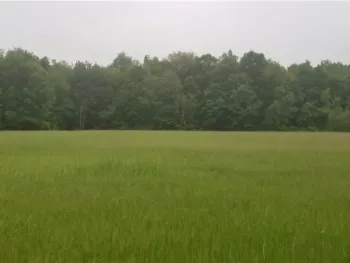 Property at LOT 4 Co Route 91, Ellisburg, NY 13636