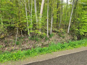 Property at Utley Road, East Otto, NY 14729