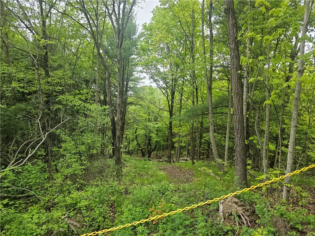 Property at 2049 State Route 245, Italy, NY 14512