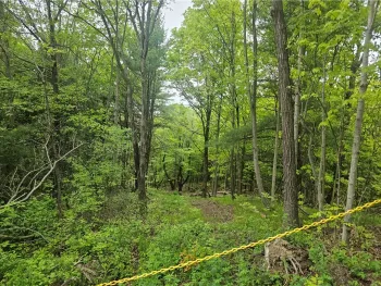 Property at 2049 State Route 245, Italy, NY 14512