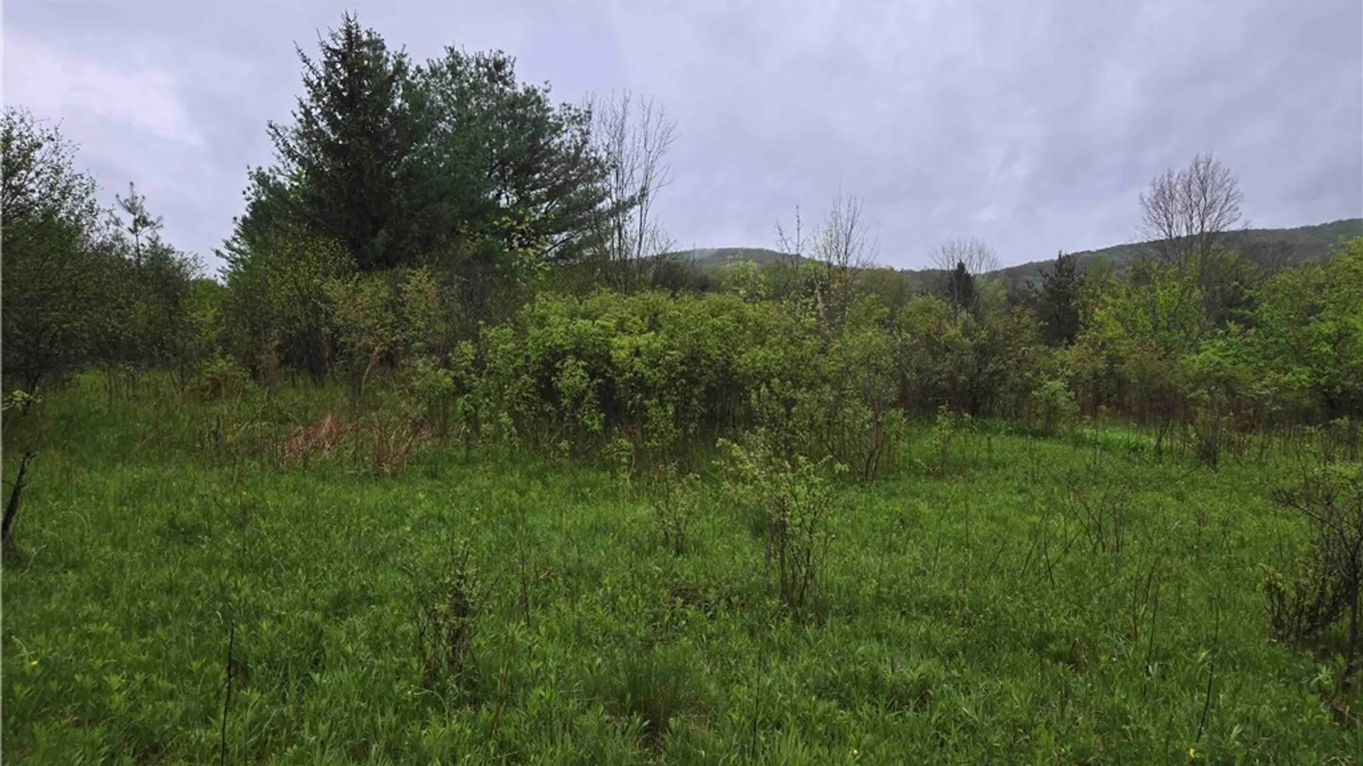 Property at 8935 Stout Road, Cuba, NY 14727 7
