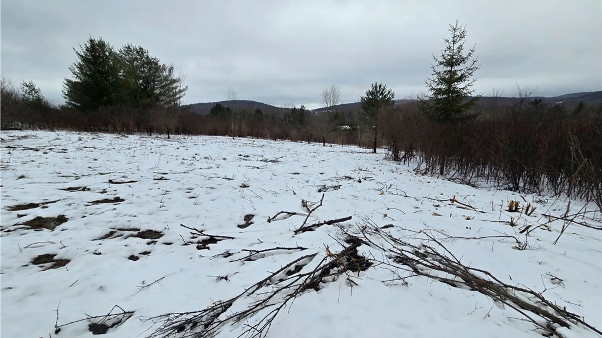 Property at 8935 Stout Road, Cuba, NY 14727 3