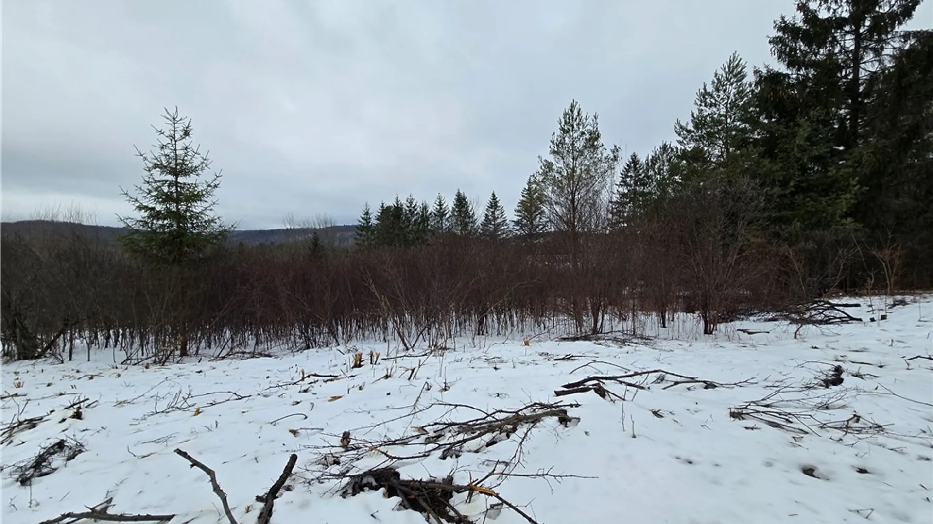 Property at 8935 Stout Road, Cuba, NY 14727 4