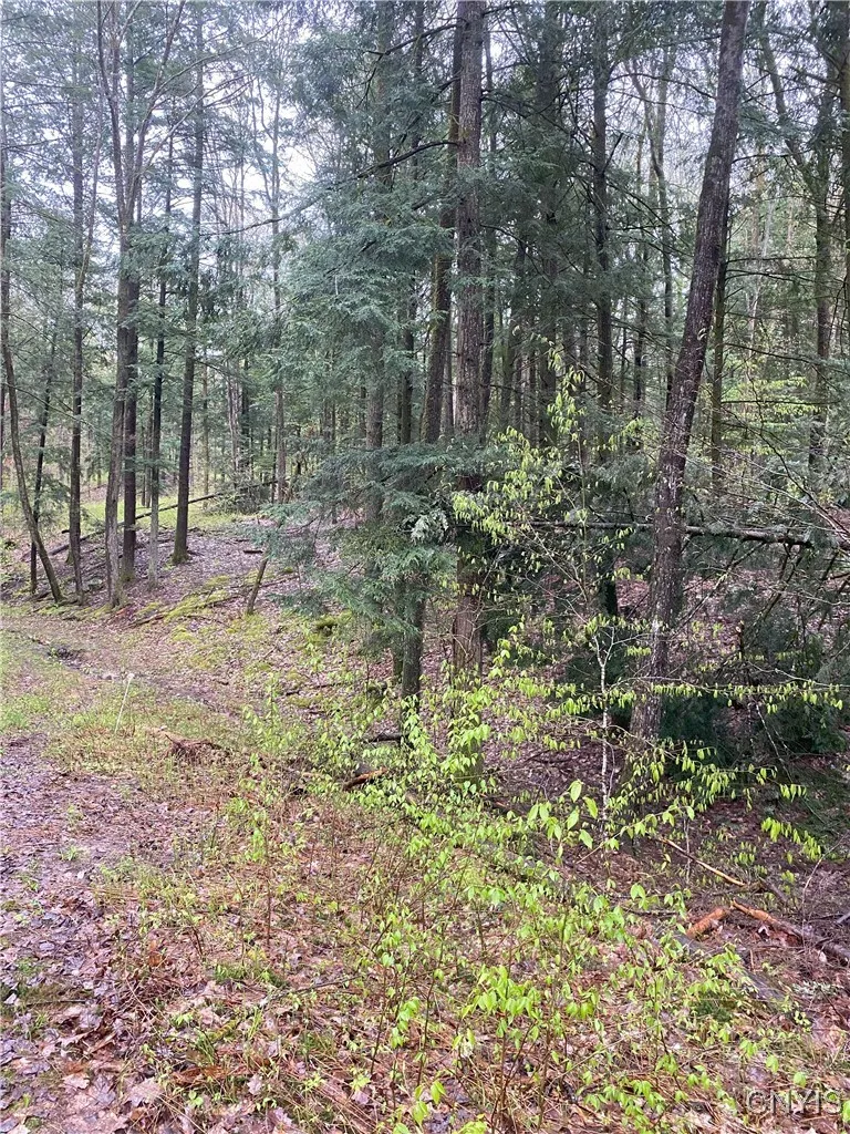 Property at Rome-Taberg Road, Annsville, NY 13471