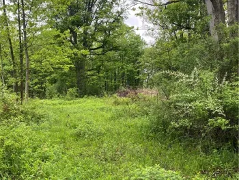 Property at Seymour Lane, Westmoreland, NY 13490