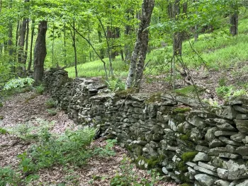 Property at Woodland Hills Road, Andes, NY 13731