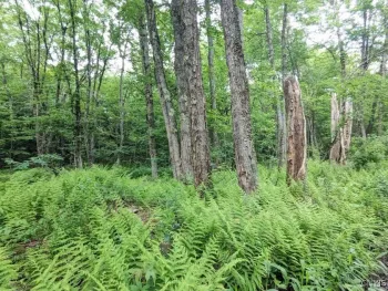 Property at 5 Rose Bud, Florence, NY 13316