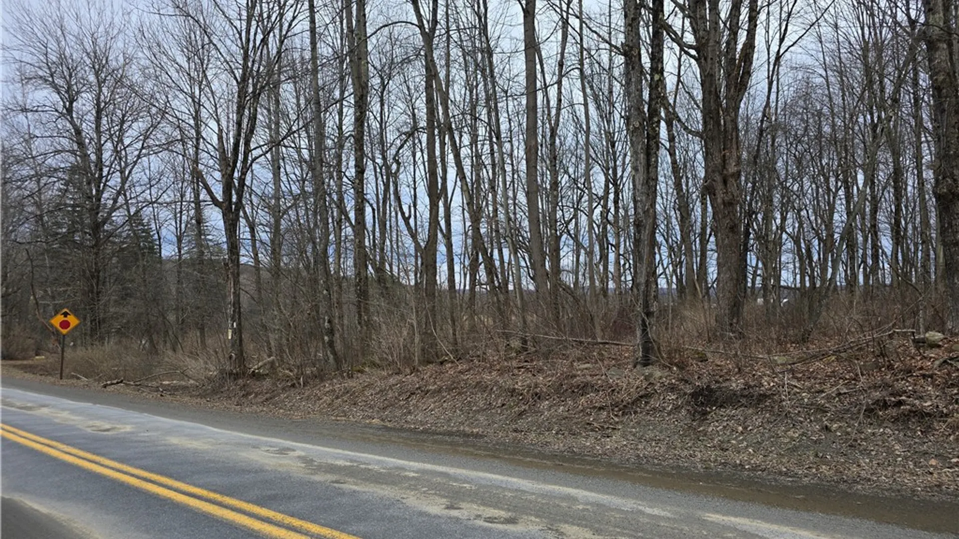 Property at 137 County Road 47, Pharsalia, NY 13815 10