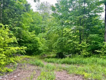 Property at N Hillsborough Road, Amboy, NY 13316