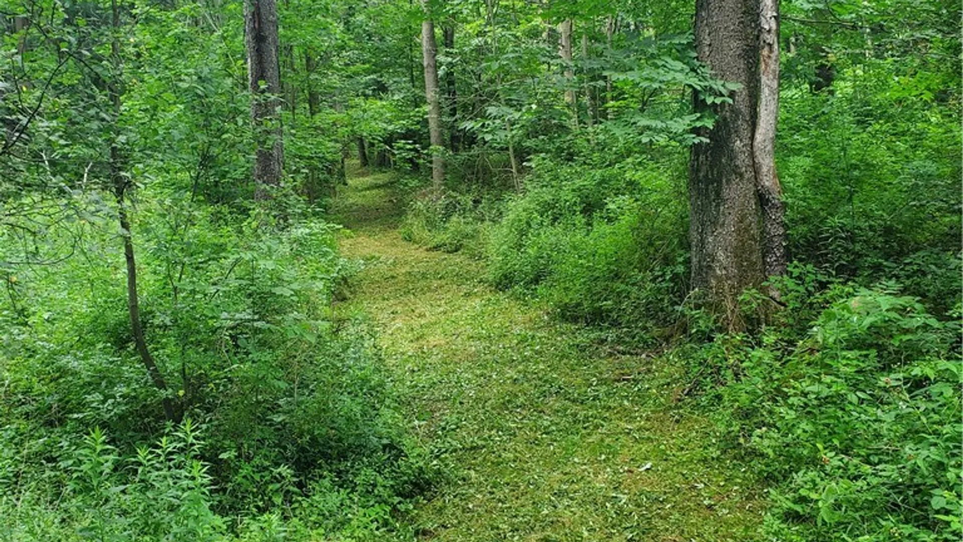 Property at 7200 Kent Road, Mansfield, NY 14731 10