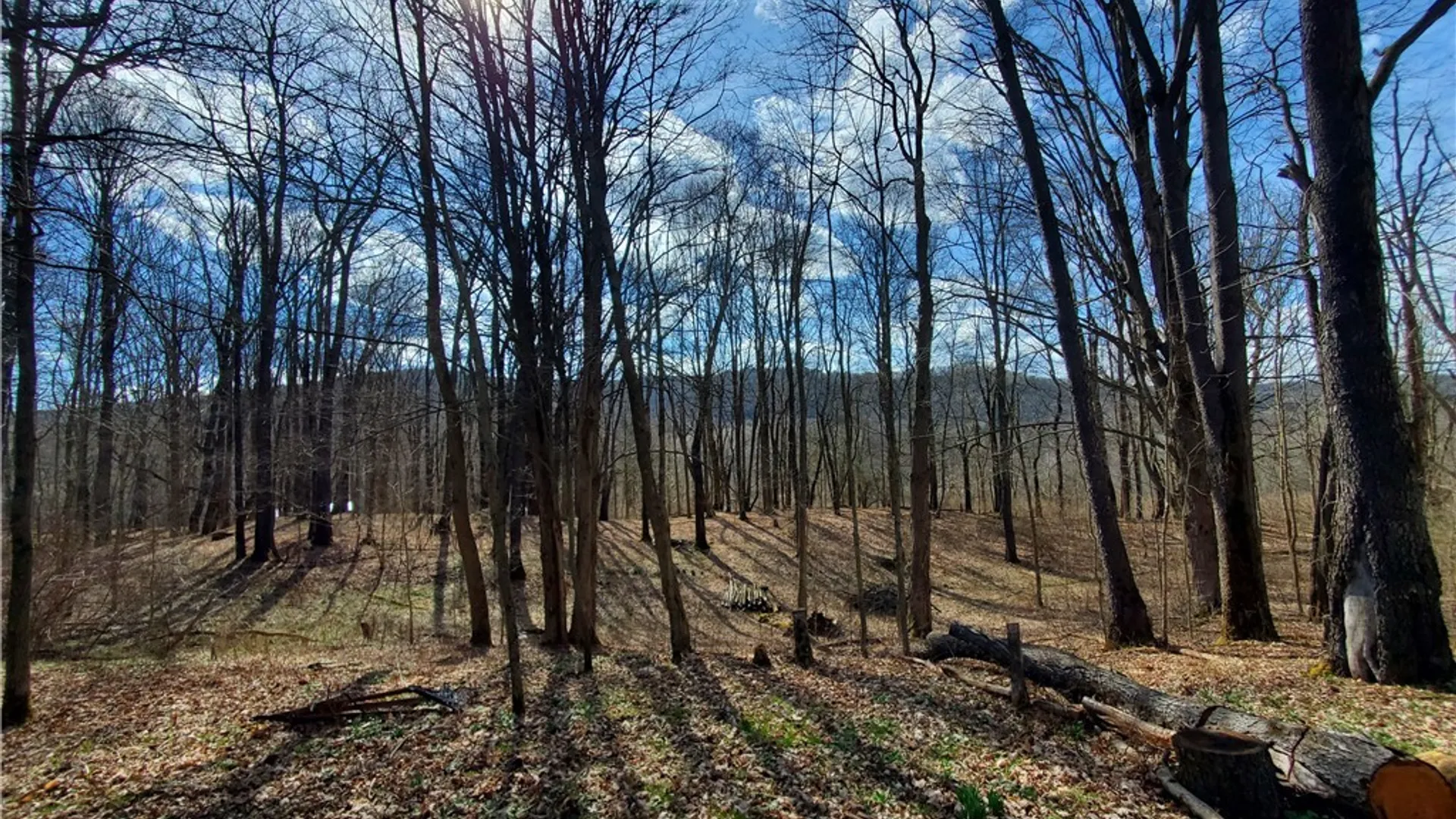 Property at 7200 Kent Road, Mansfield, NY 14731 9