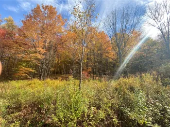 Property at 535 Scutt Mountain Road, Stamford, NY 13739