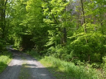 Property at 0 Caton Road, Caton, NY 14830