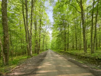 Property at L22.22 Mud Road, Laurens, NY 13825