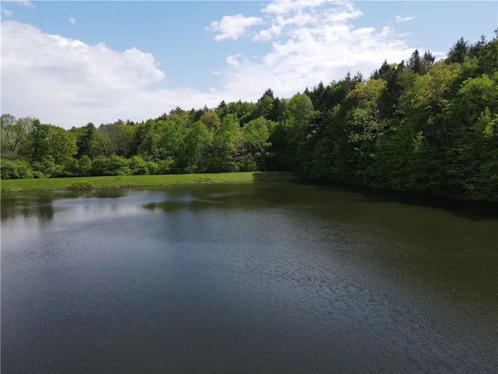 Property at VL Lot 1 Hardscrabble Road, Rathbone, NY 14801
