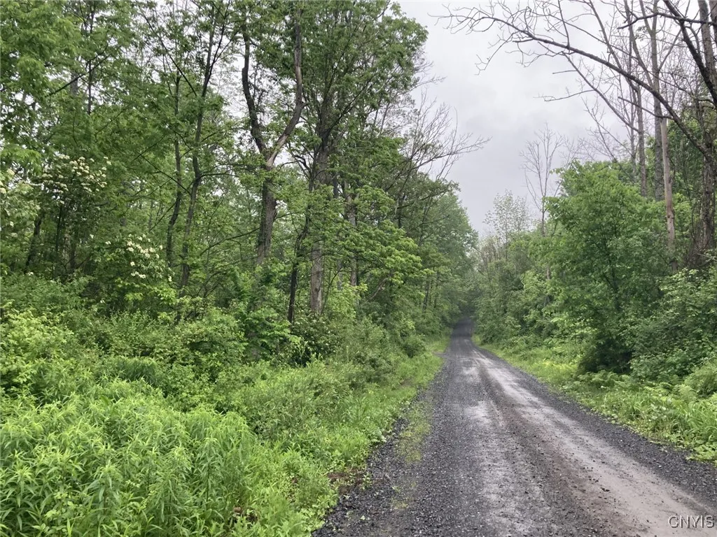 Property at Lynch Road, Norway, NY 13416