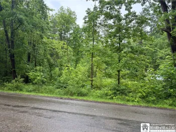 Property at Scott Road, Carroll, NY 14738