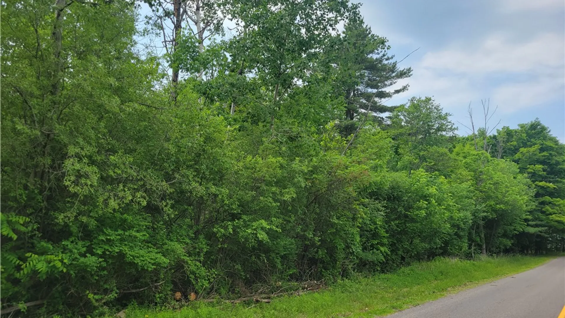 Property at 00 State Route 54, Wayne, NY 14840 6