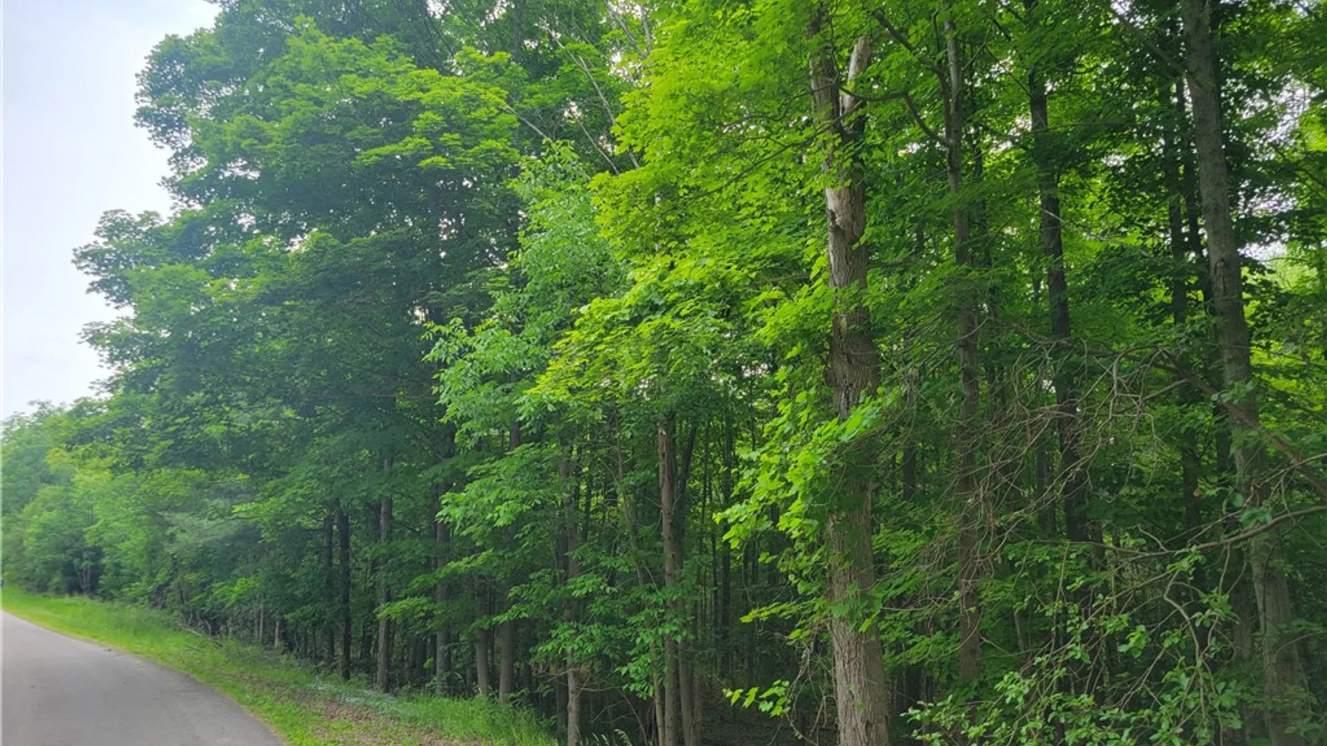 Property at 00 State Route 54, Wayne, NY 14840 12