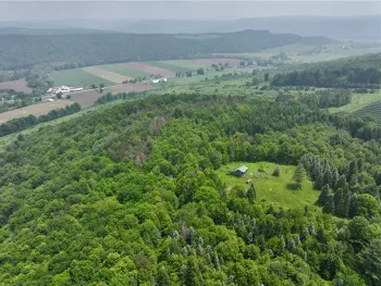 Property at 78 Lower Fairfield Rd., Newark Valley, NY 13811