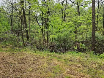 Property at 284 Berwick Turnpike, Ashland, NY 14894