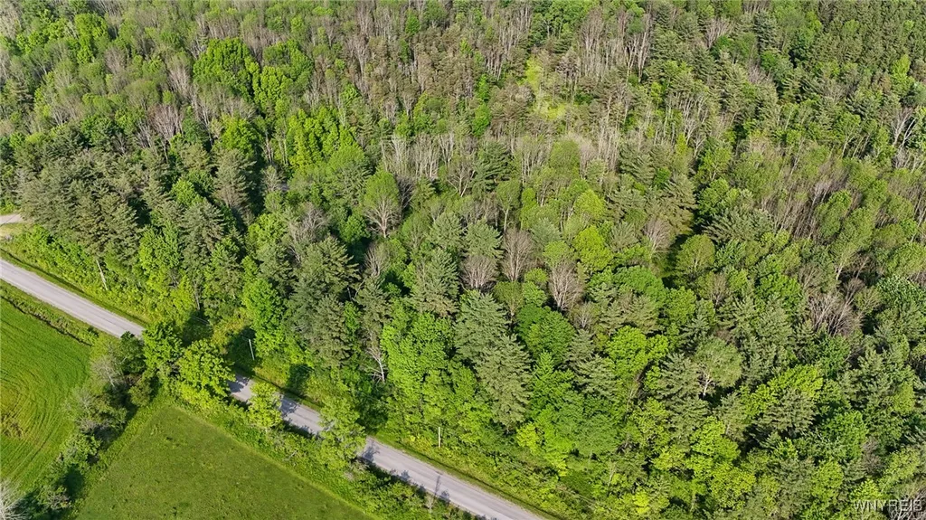 Property at 00 Lamont Road, Angelica, NY 14709