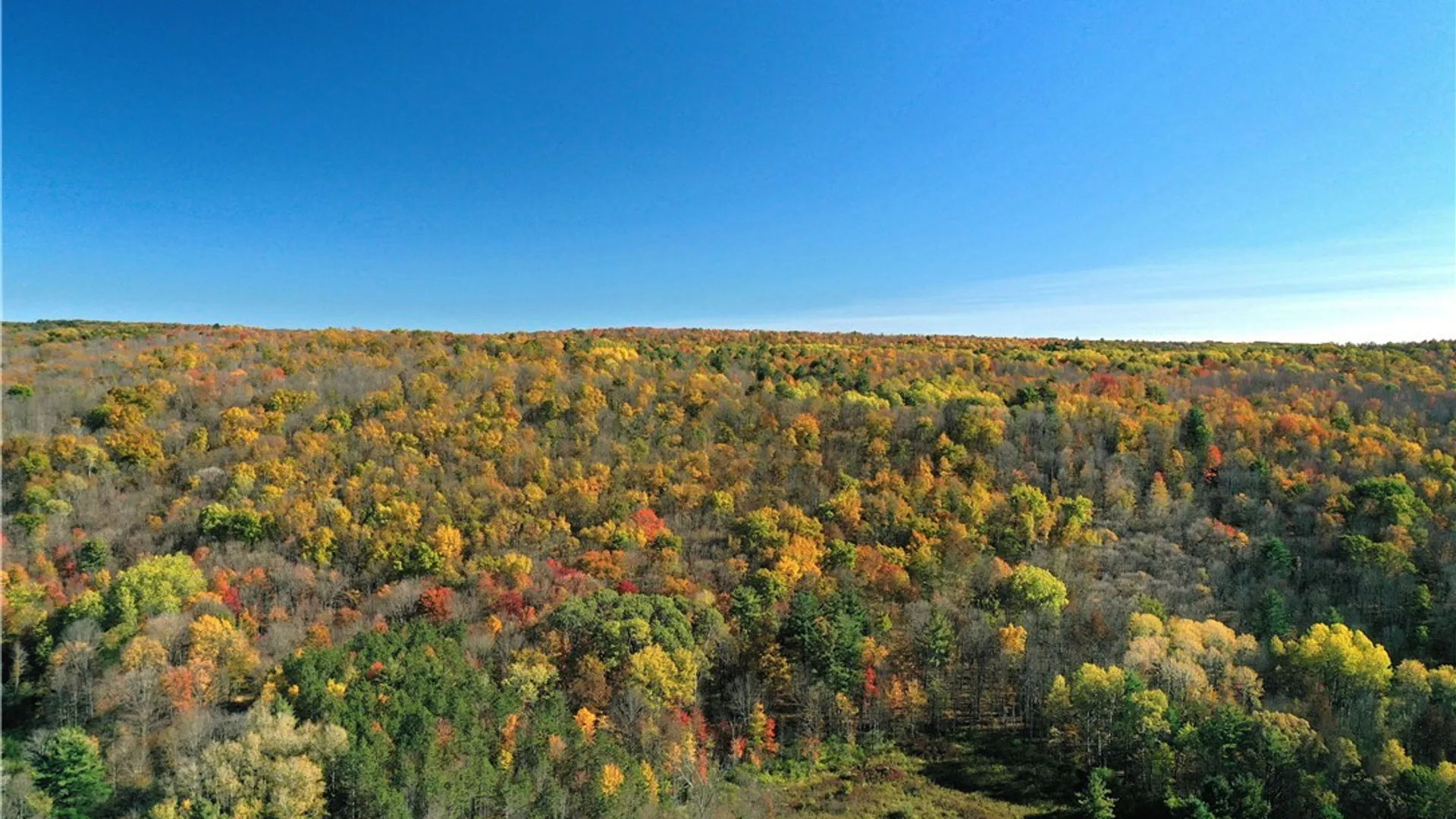 Property at 7810 County Road 15, Angelica, NY 14709 2