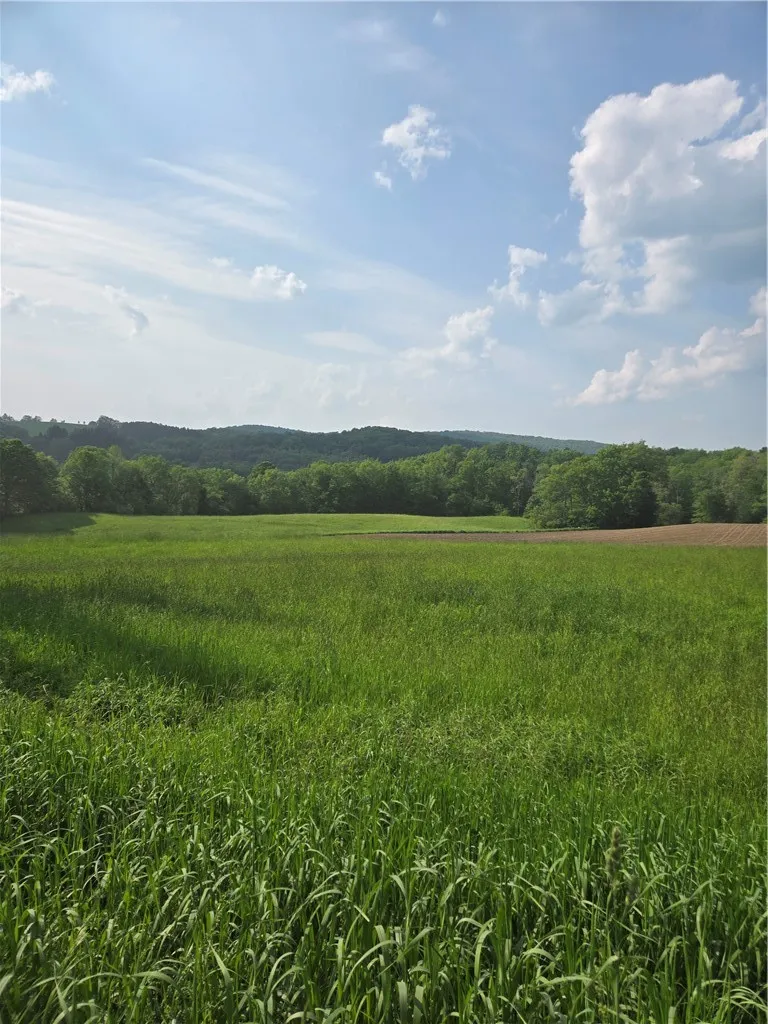 Property at 0 Backus Road, New Lisbon, NY 13810