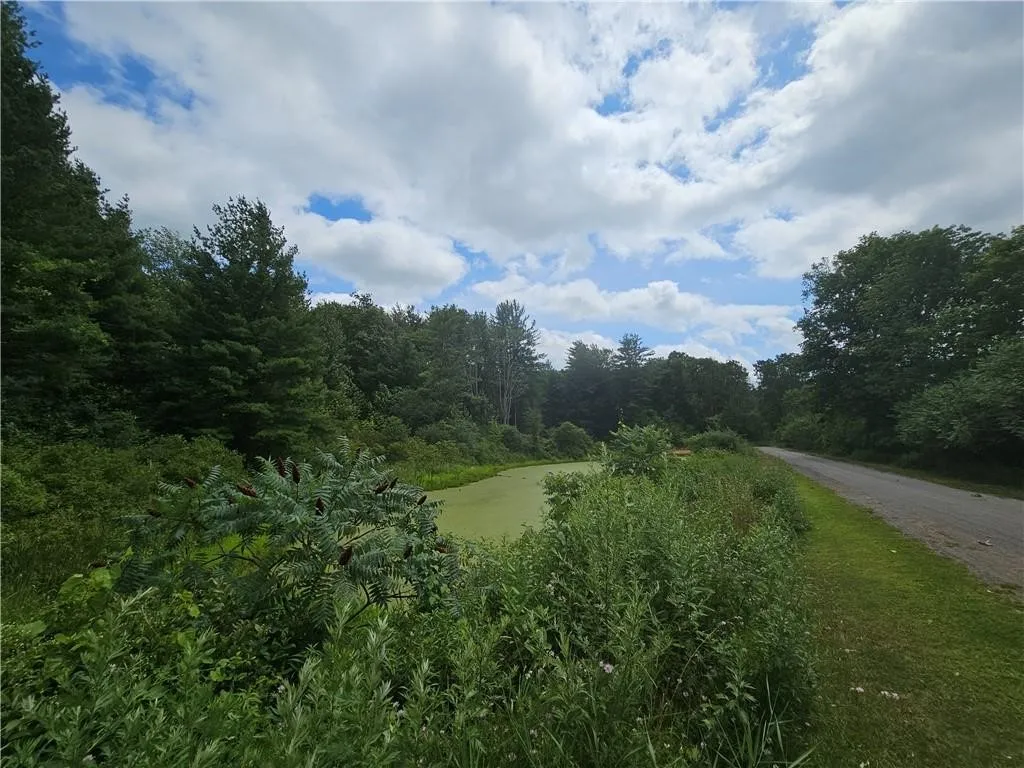Property at 00 Railroad Avenue, Angelica, NY 14709