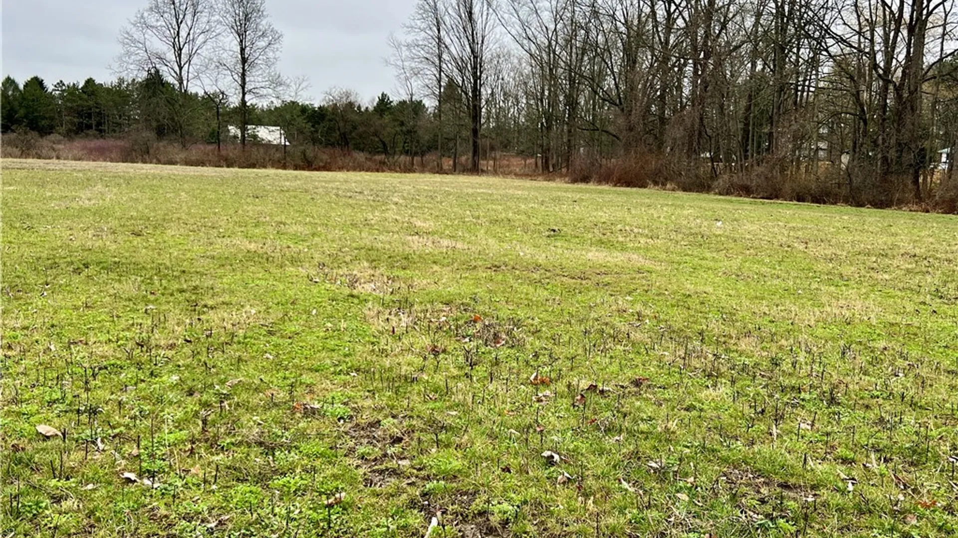 Property at 34 Crescent Way, Ulysses, NY 14886 10